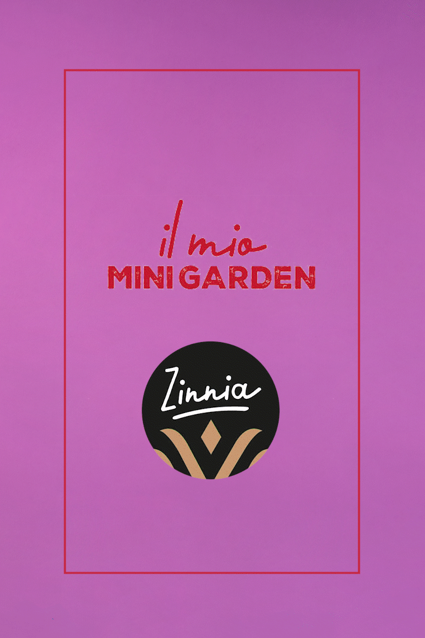 Uovo Vanini Tasting Experience Fondente Cocco Mandorle | 280g