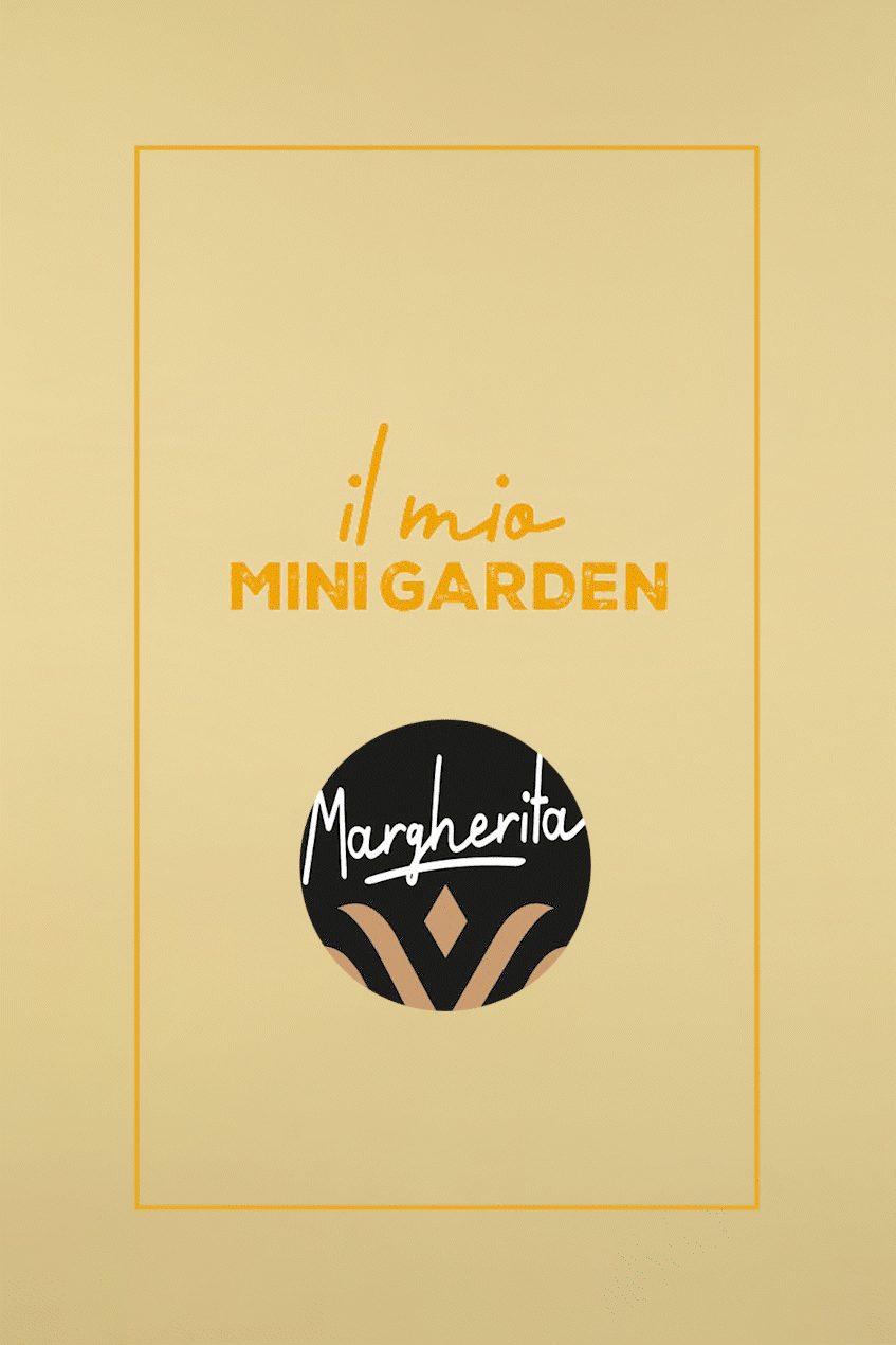 Uovo Vanini Tasting Experience Bianco Pistacchio Salato | 280g