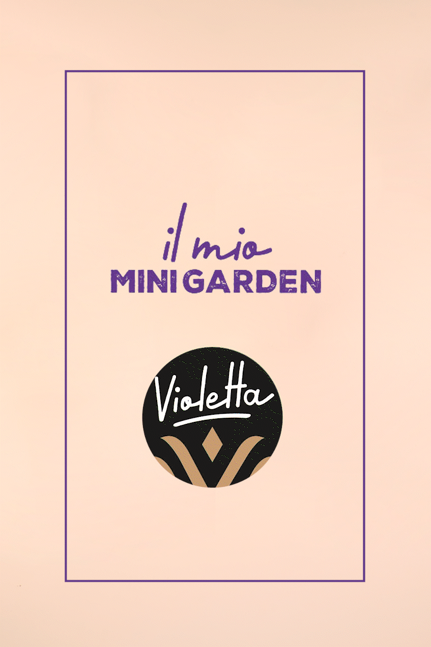 Uovo Vanini Tasting Experience Caramello Granella Biscotto | 280g