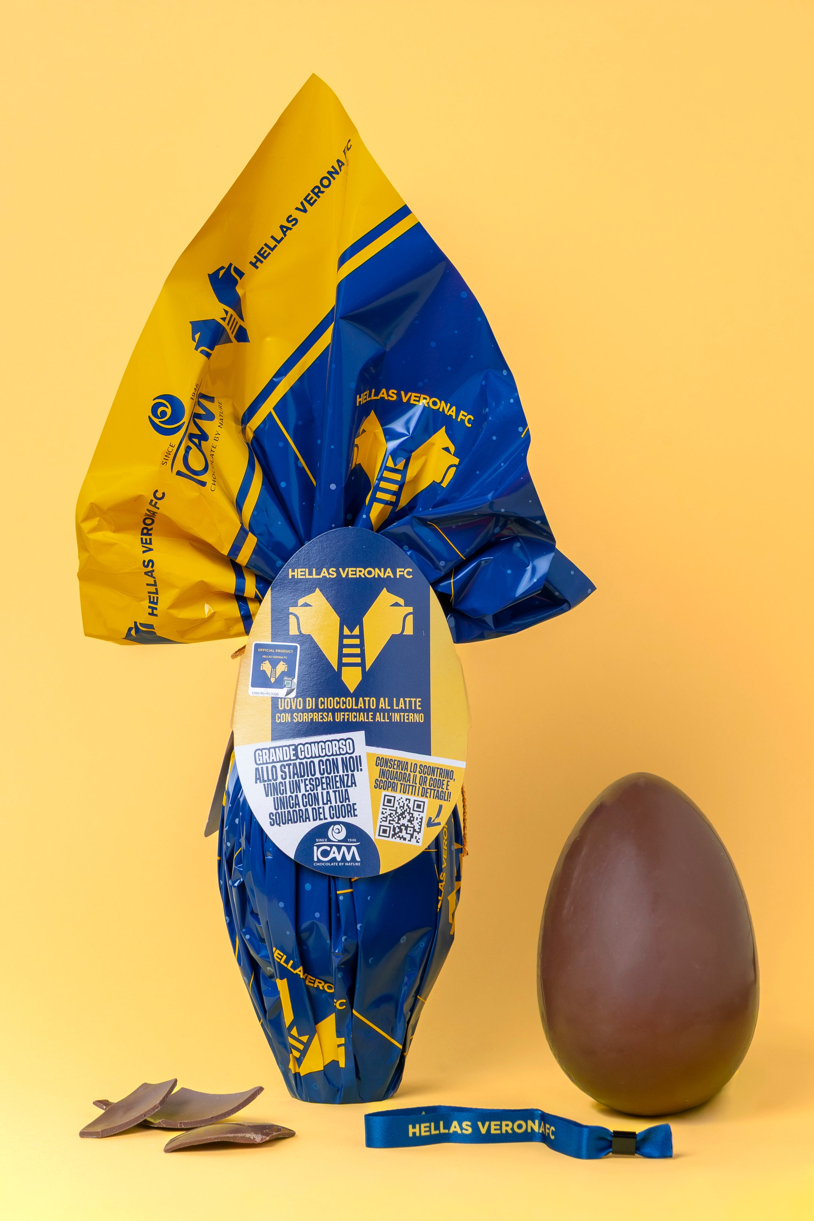 Uovo di Pasqua Hellas Verona Ufficiale ICAM | Cioccolato al Latte 180g