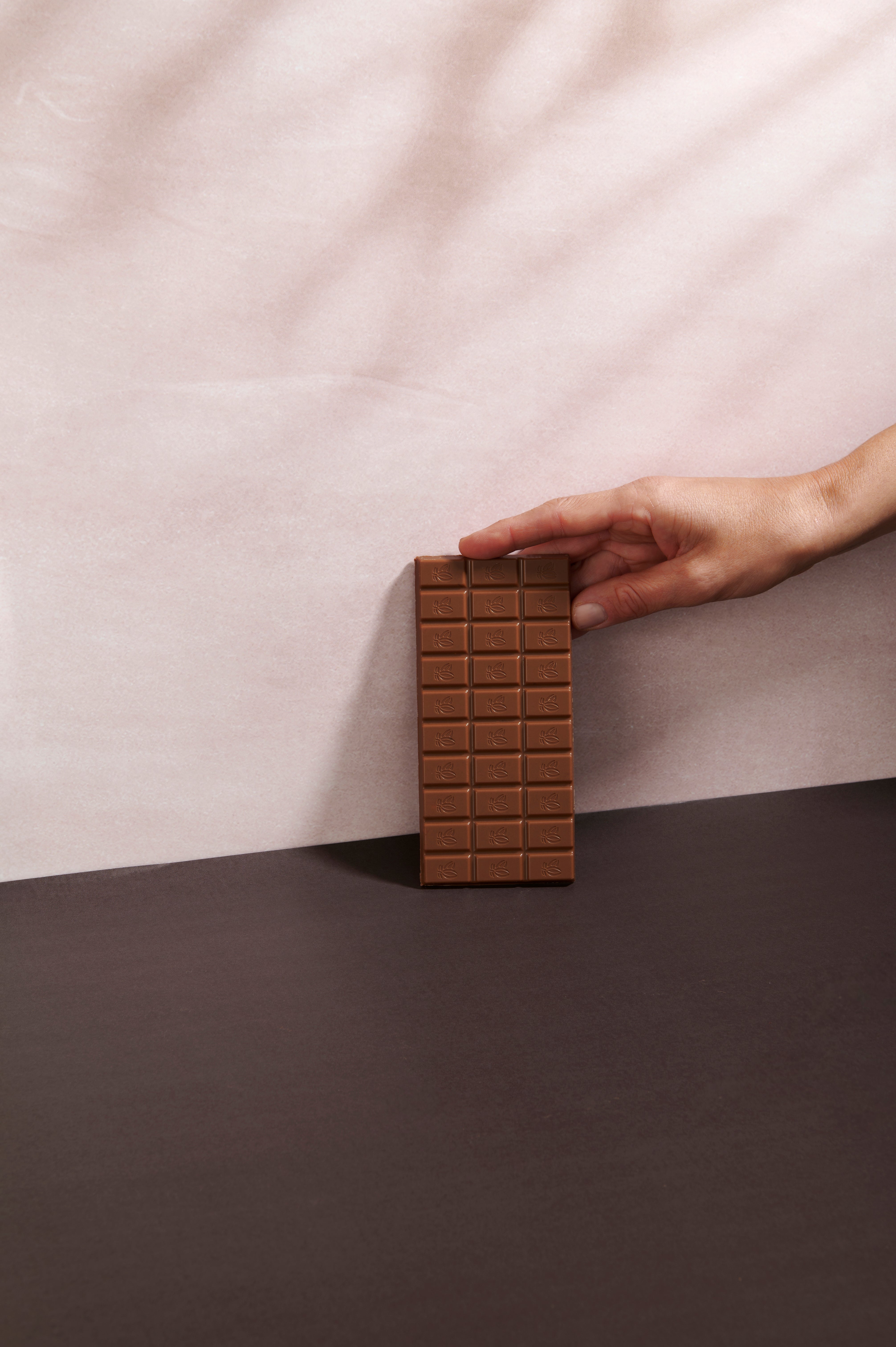 Tavoletta Vanini Tasting Experience cioccolato al latte al gusto panettone con scorza di arancia - Limited Edition